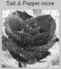 نویز نمک و فلفل یکی از انواع نویز در پردازش تصویر