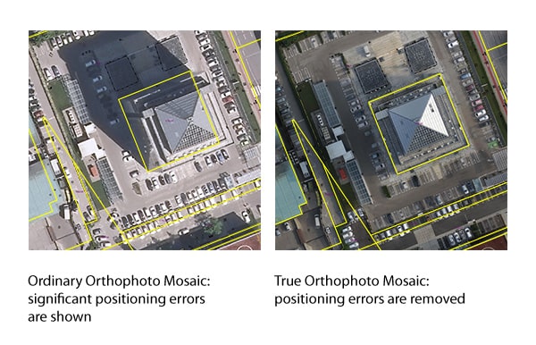 ارتوفتو یک تصویر قائم