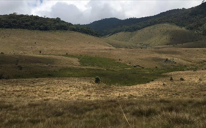 هزینه تفکیک آپارتمان با کاربری مسکونی و اداری